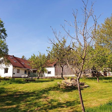 Die Alm In Schoellbuechl, Privatzimmer Sankt Martin  Extérieur photo