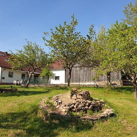Die Alm In Schoellbuechl, Privatzimmer Sankt Martin  Extérieur photo