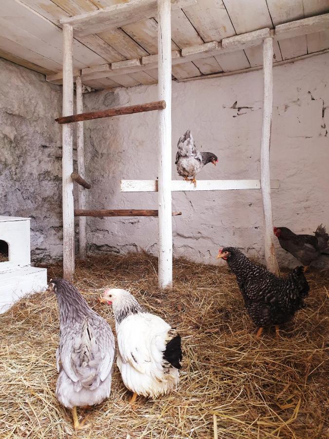 Die Alm In Schoellbuechl, Privatzimmer Sankt Martin  Extérieur photo
